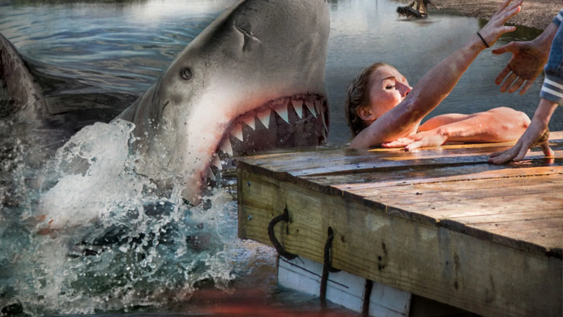 Ozark Sharks