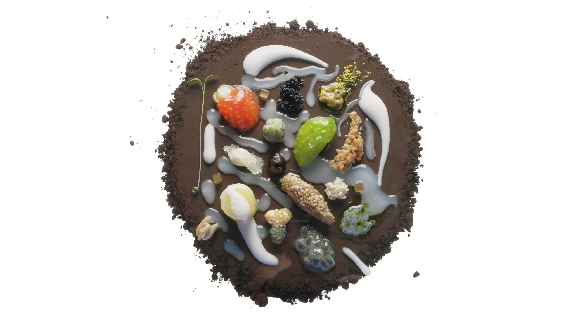 El Bulli: Cooking in Progress
