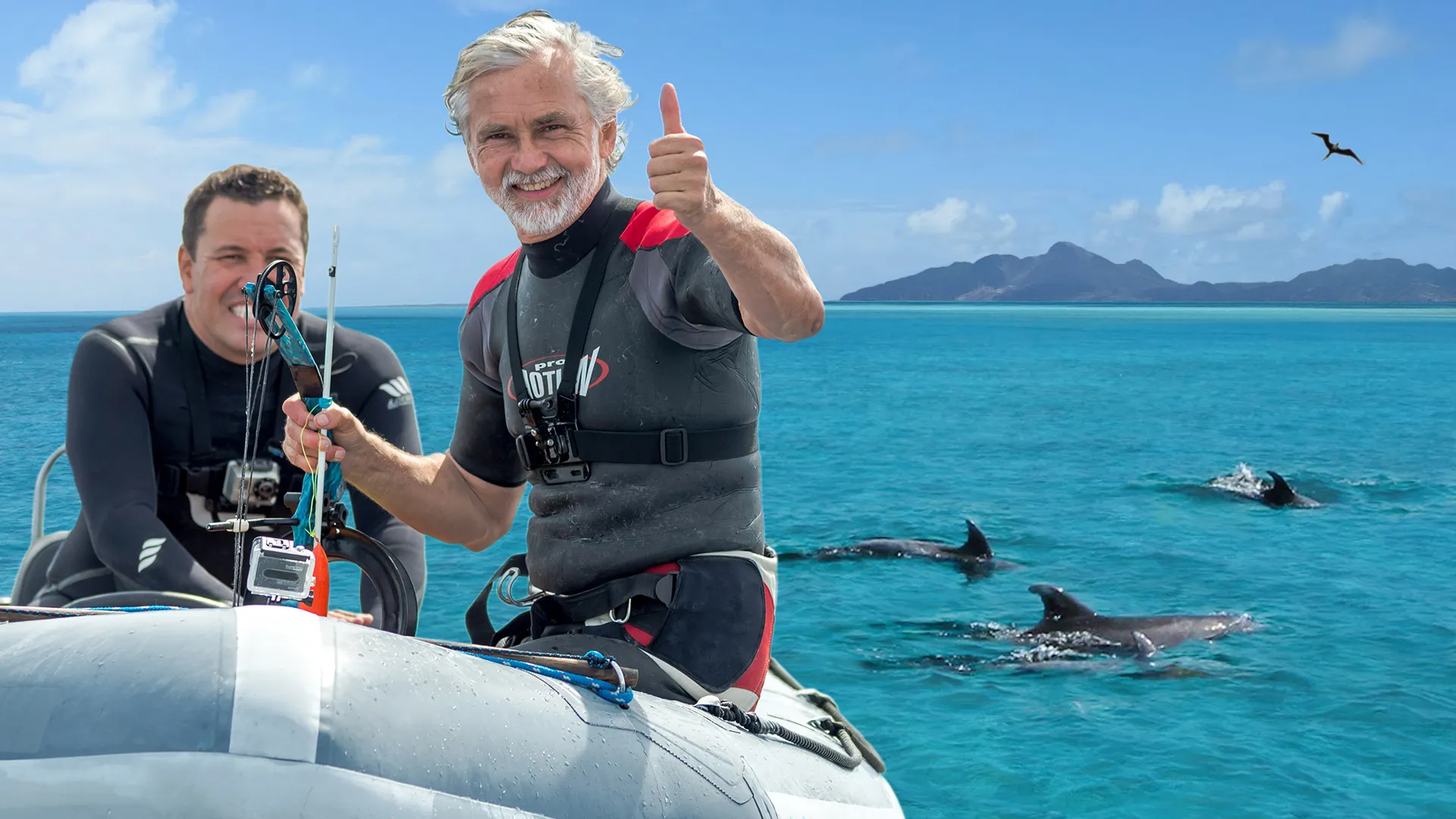 Ocean Vet
