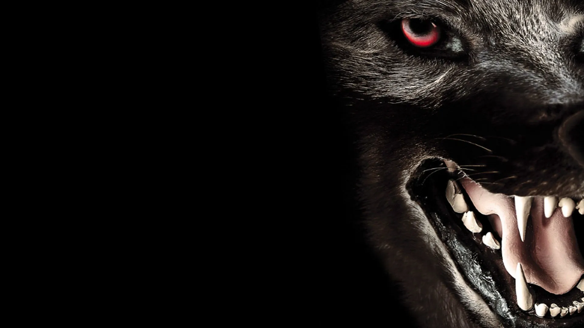 Monster Wolf