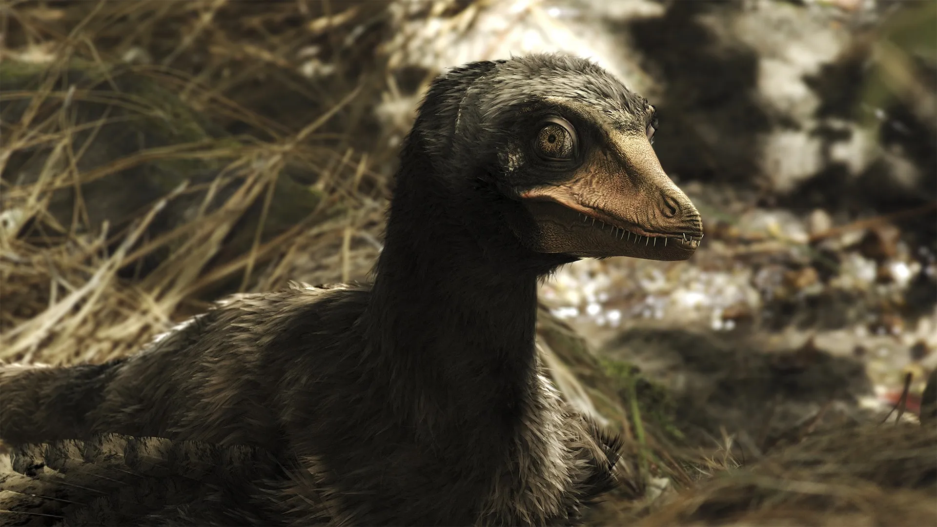 A New Prehistory
