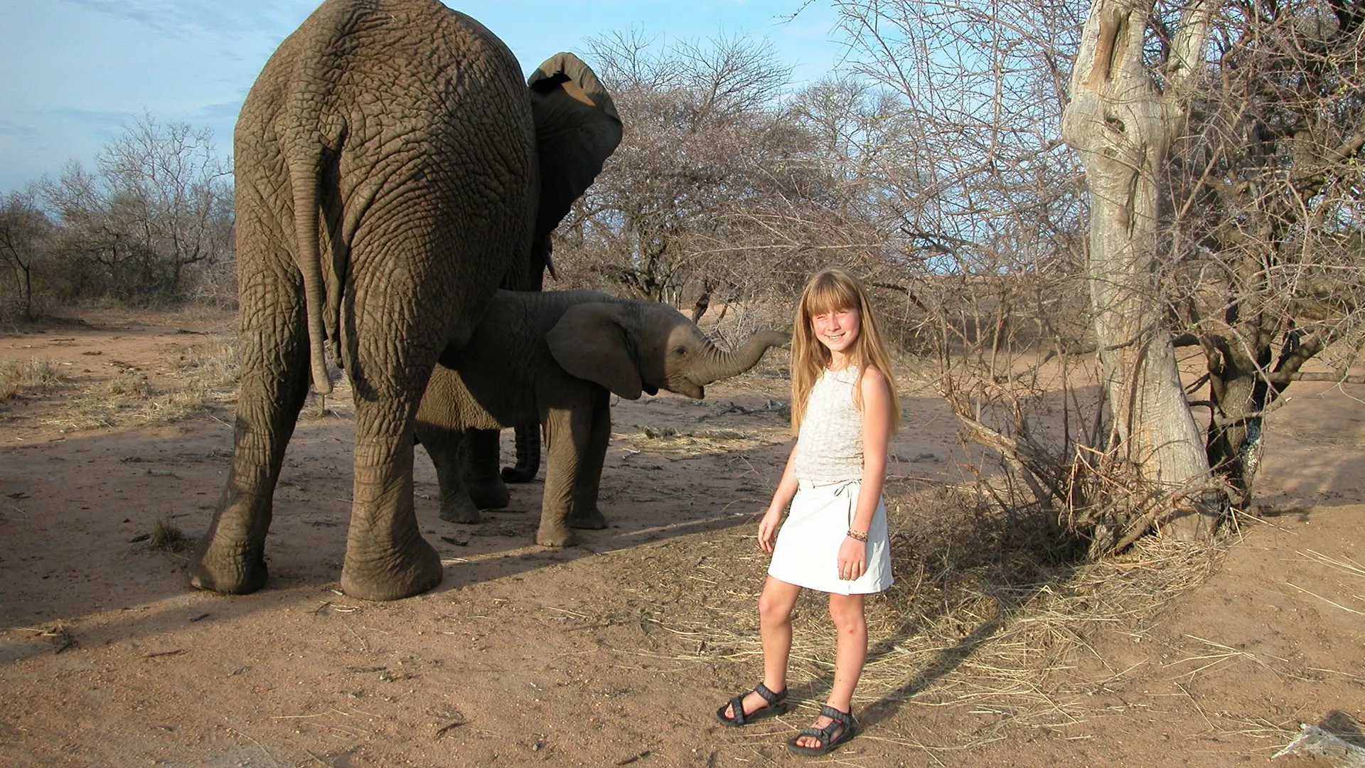 Around the World with Tippi