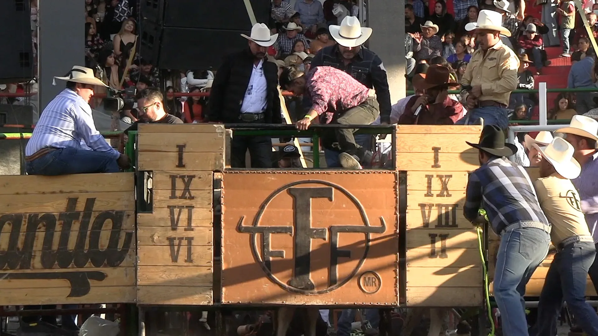 Ahí viene el toro