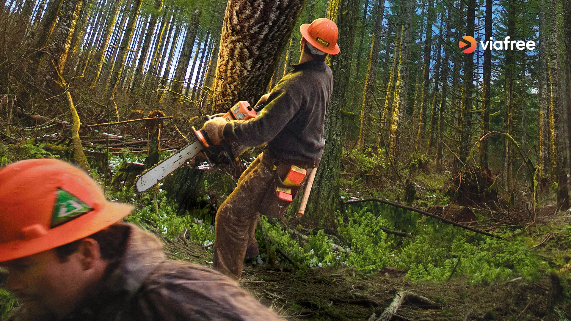 Ax Men