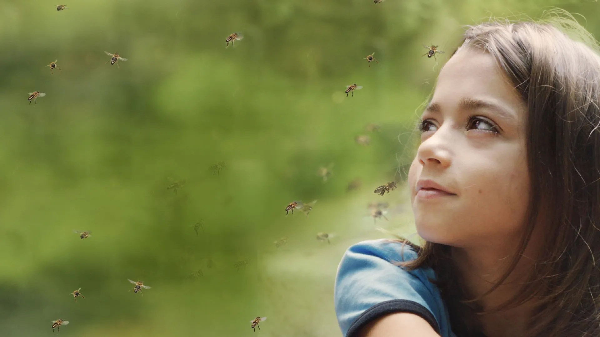 20,000 Species of Bees