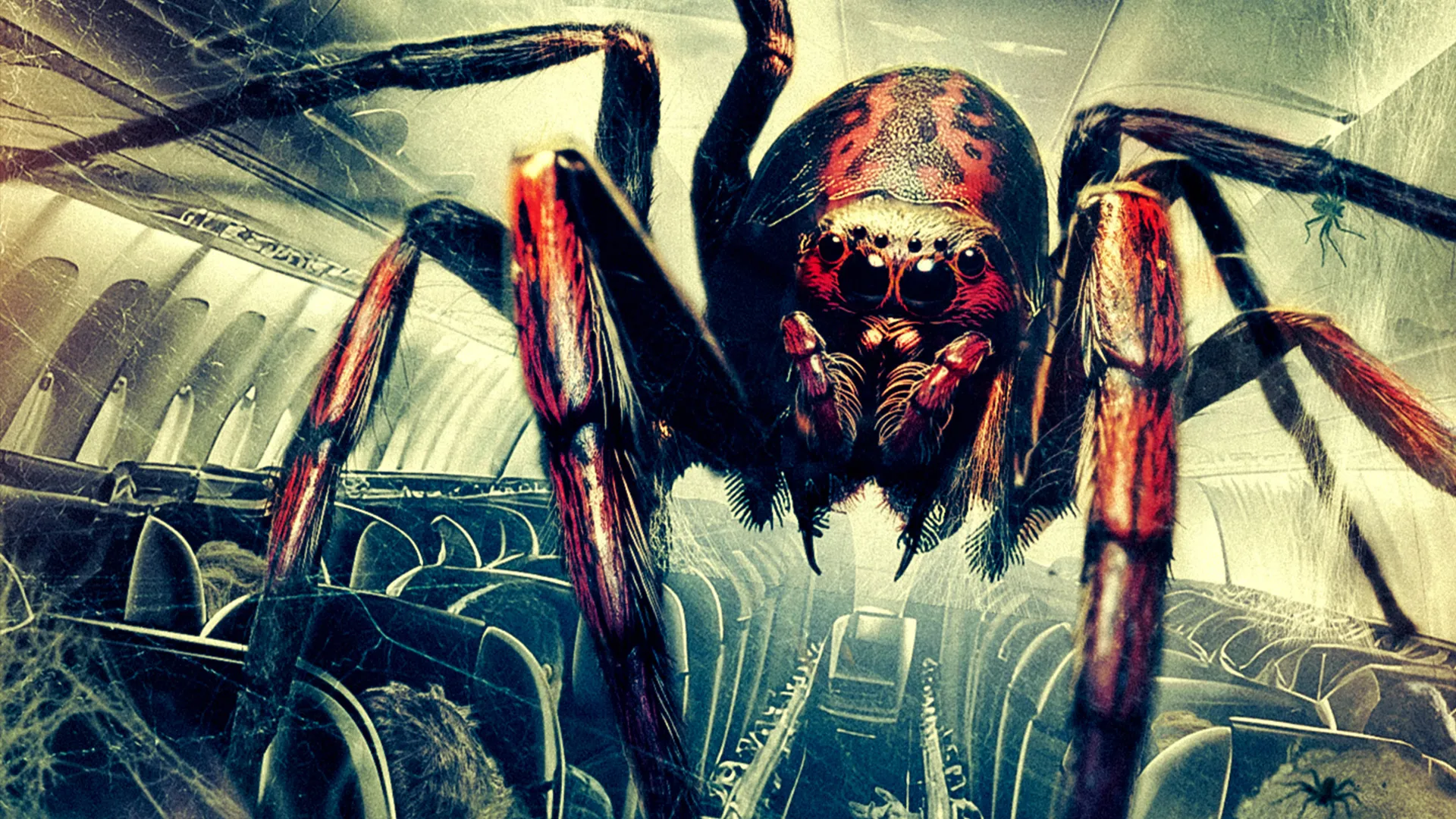 Aranhas no Avião