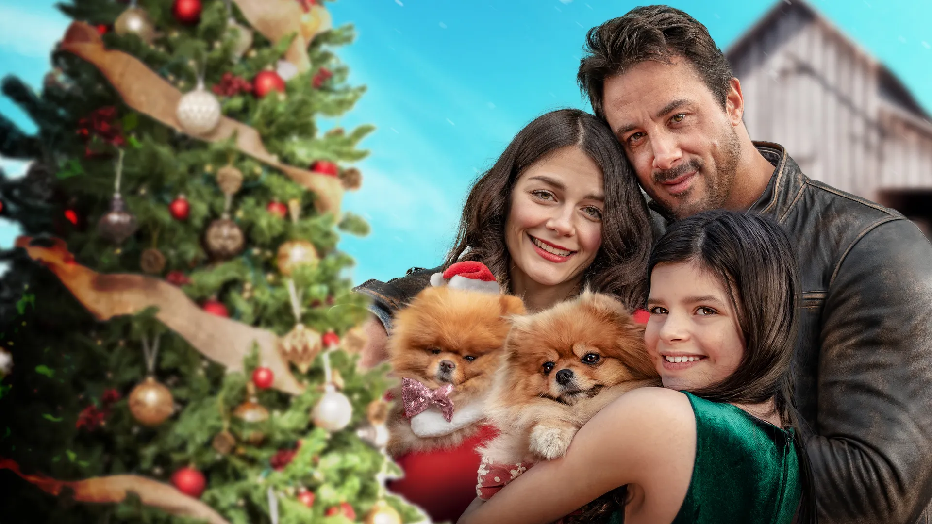 Natal Com os Cachorros