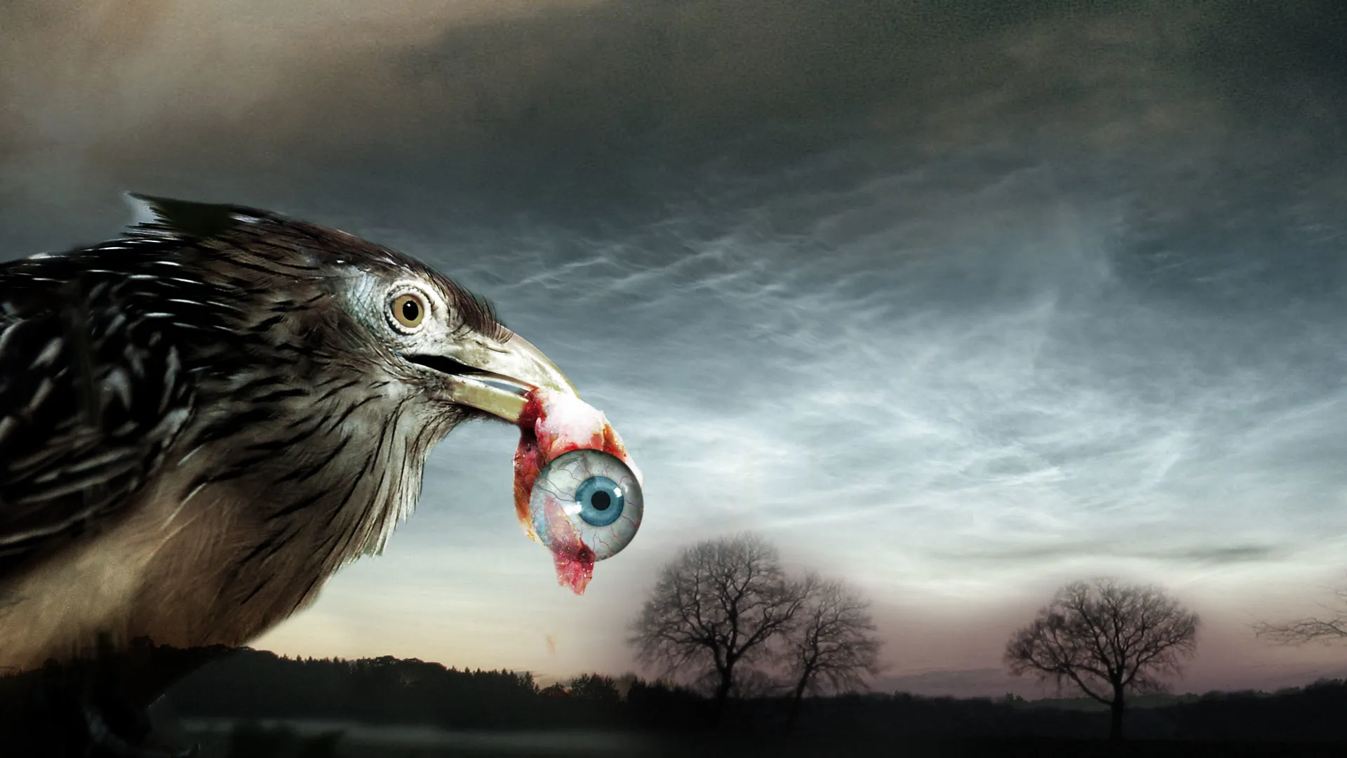 Flu Birds