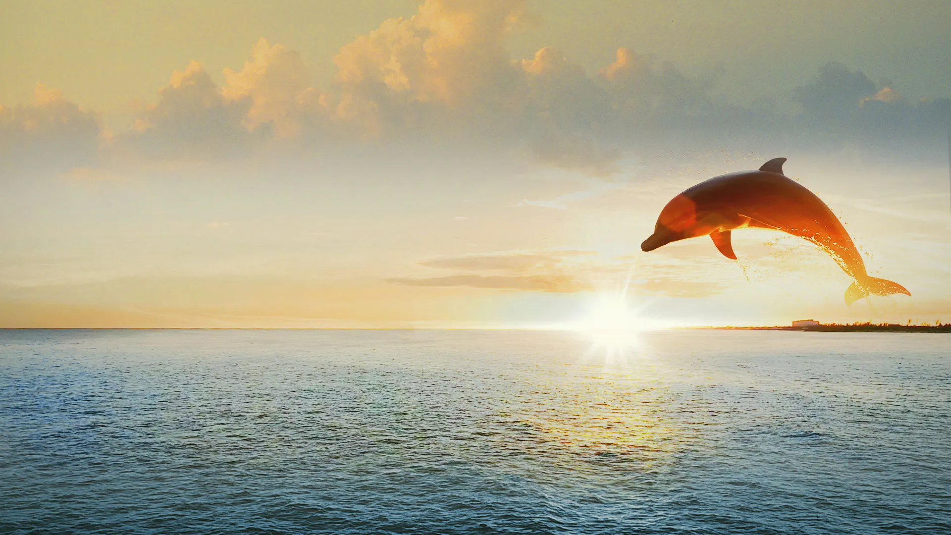 Dolphin Kick