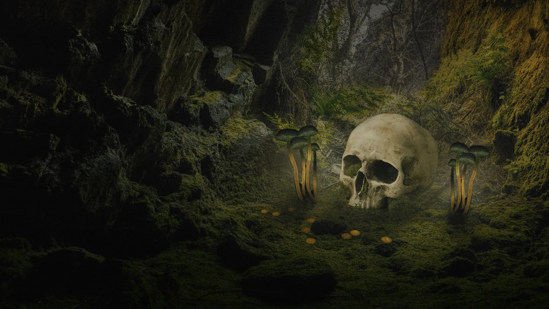 Secrets In The Jungle