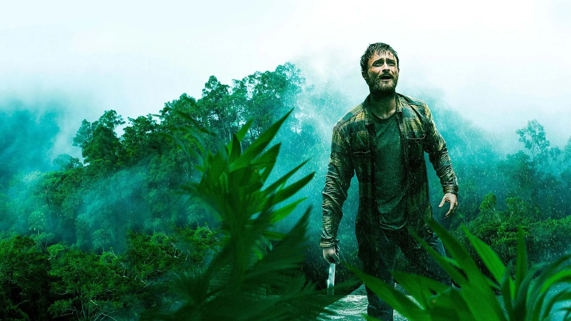 JUNGLE