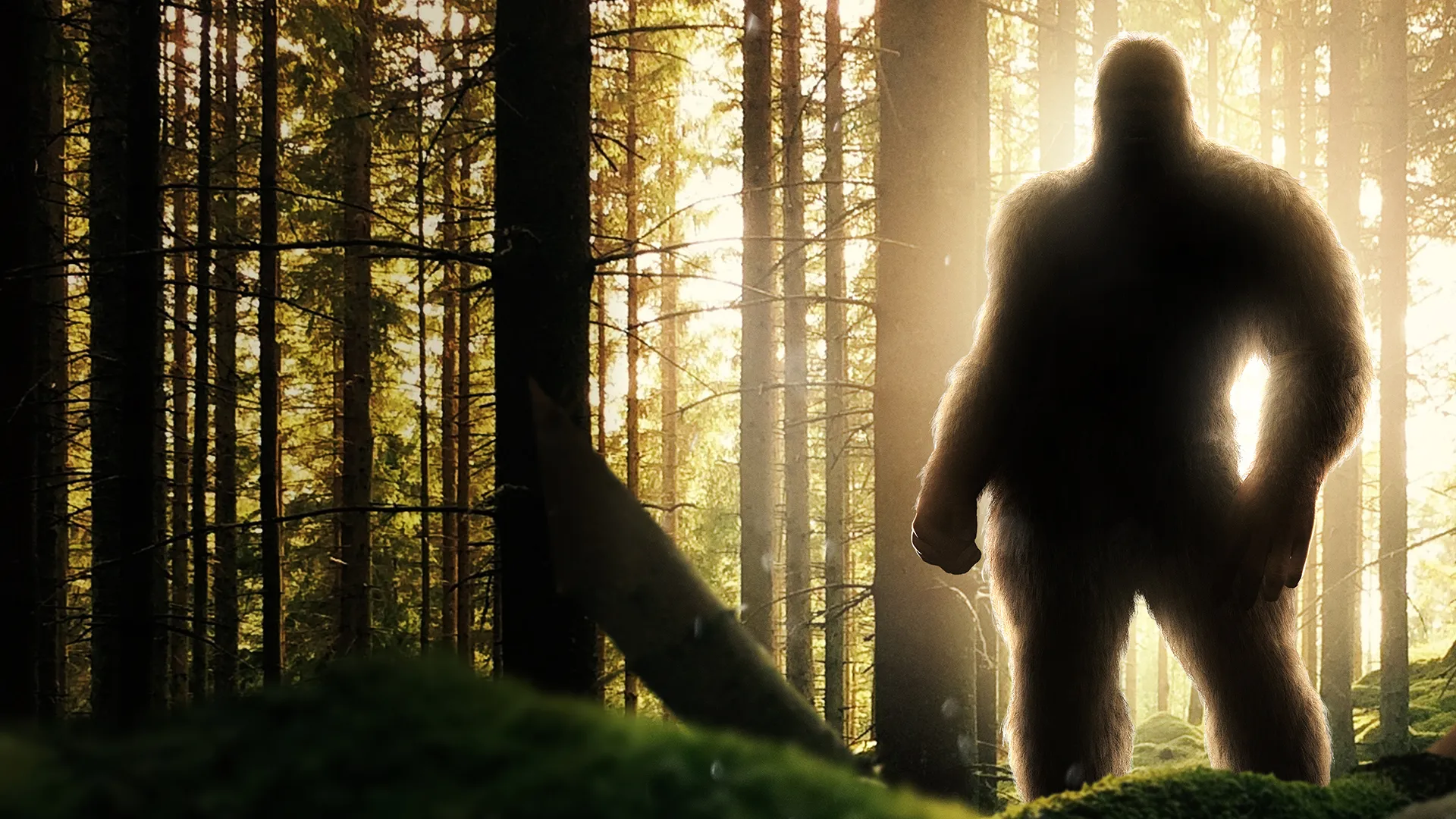 Discovering Bigfoot
