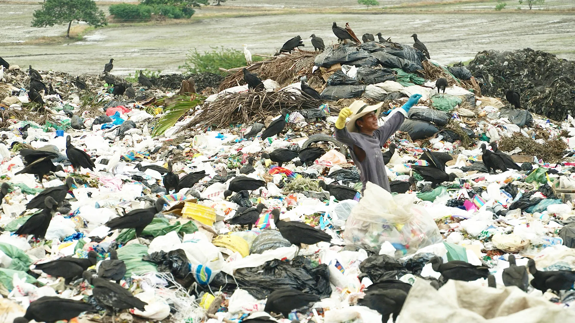 planet e.: UN Millennium Goals - Along the Poverty Line