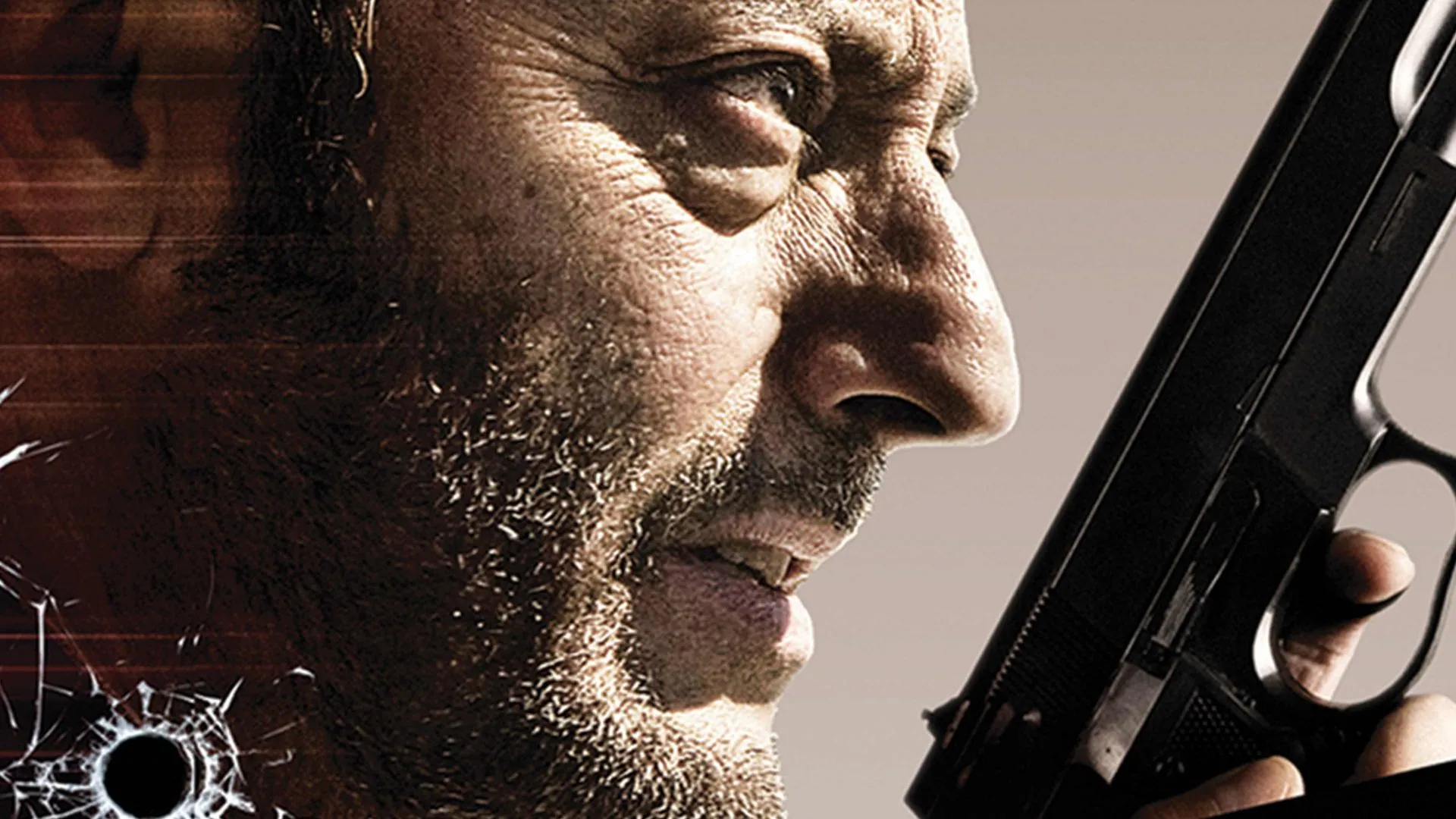 22 Bullets