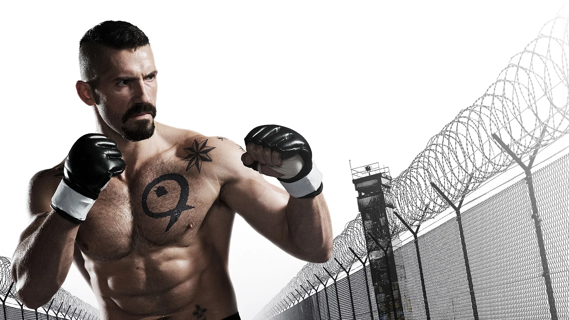 Undisputed 4: Boyka