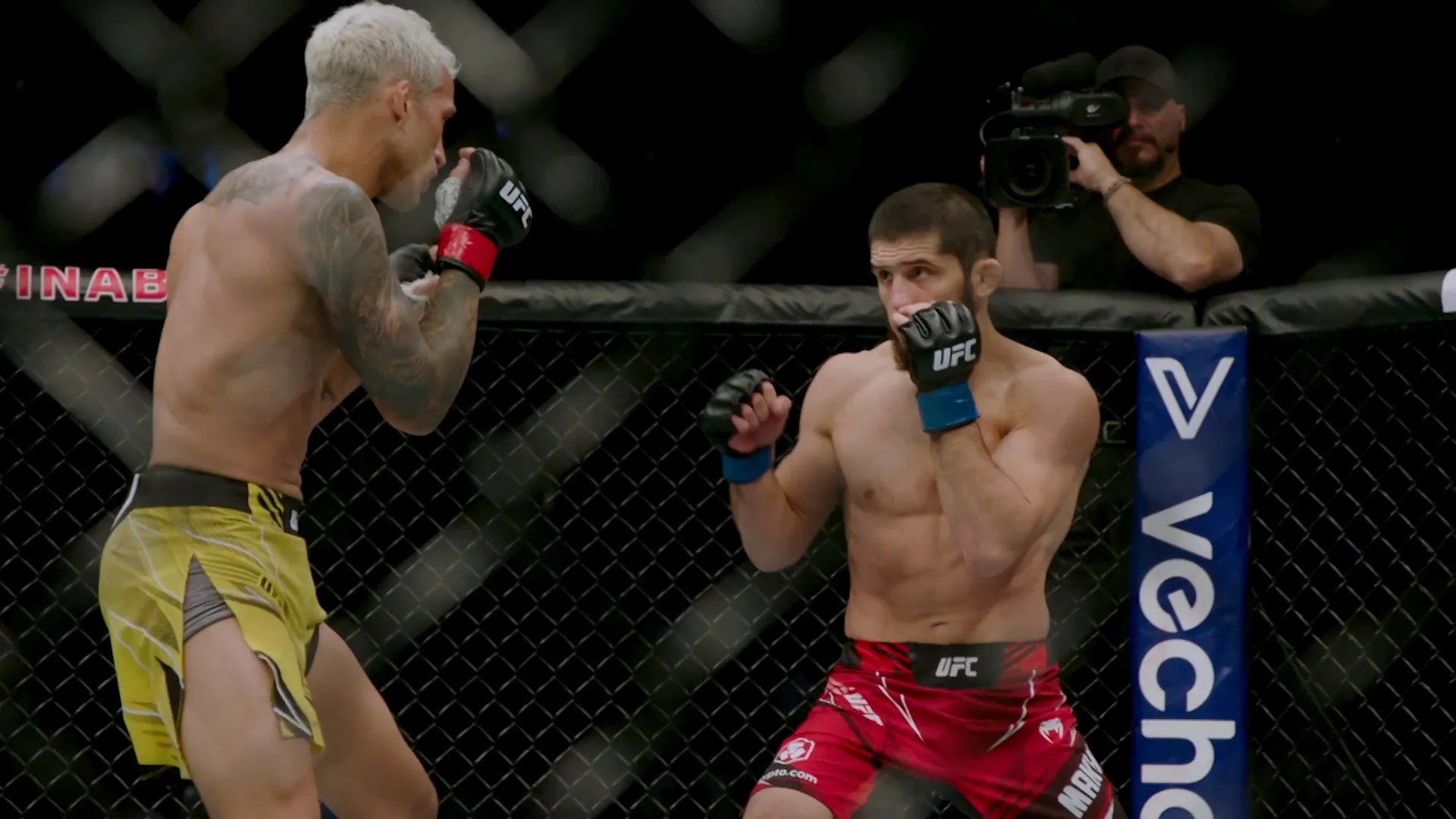 UFC The Walk