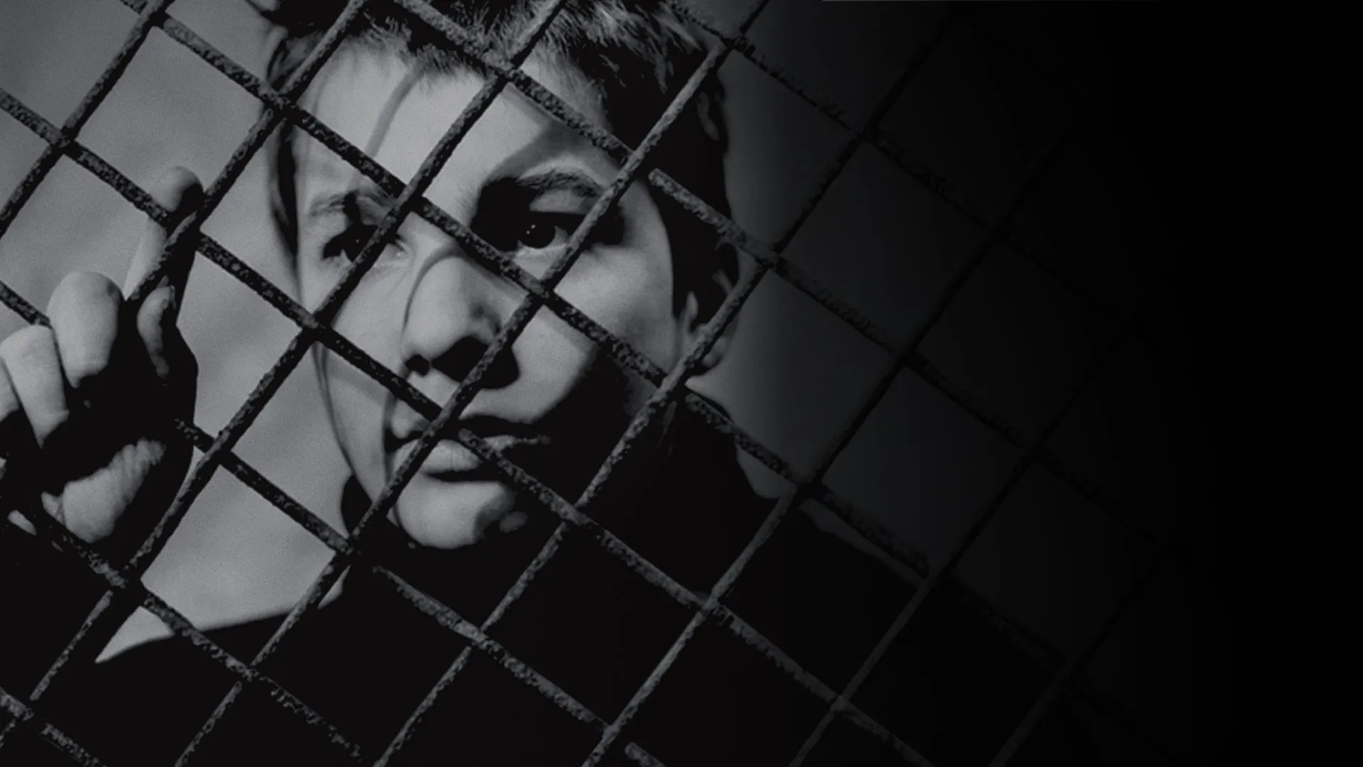 The 400 Blows