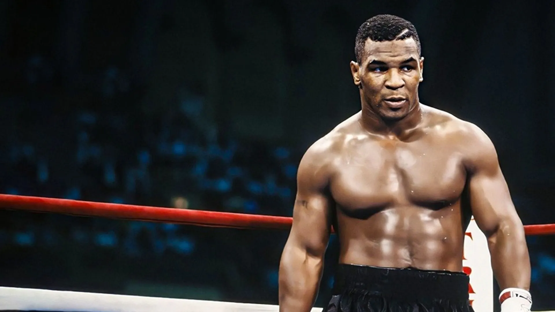 Mike Tyson: Fists of Iron