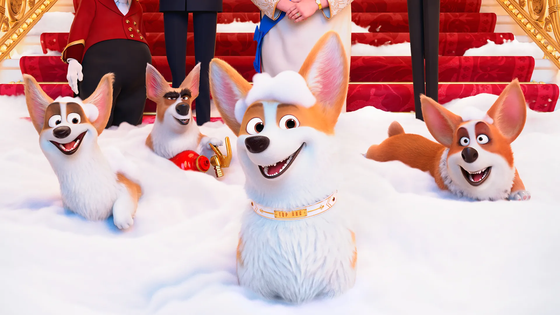The Queen's Corgi