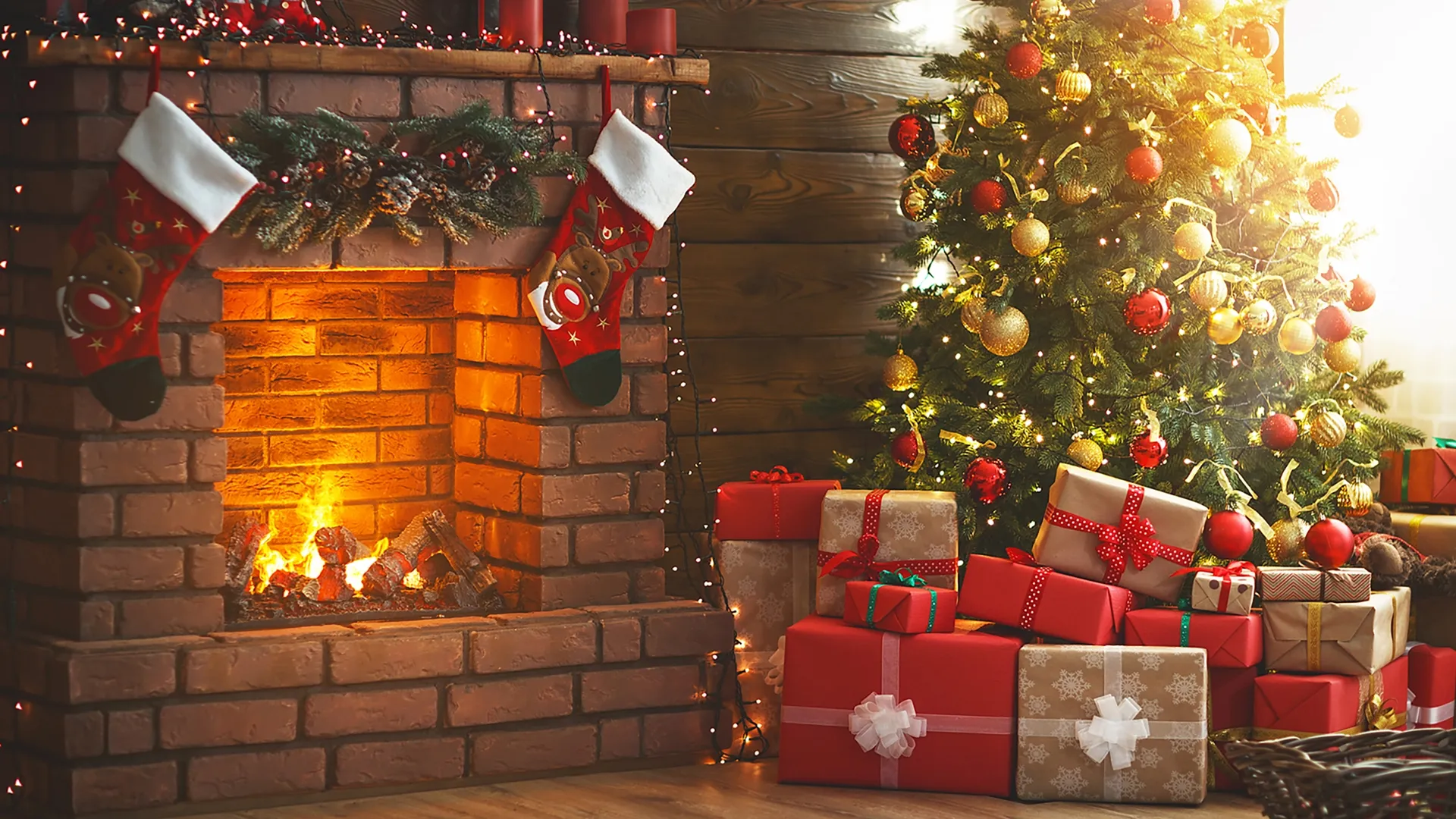 Holiday Home Invasion