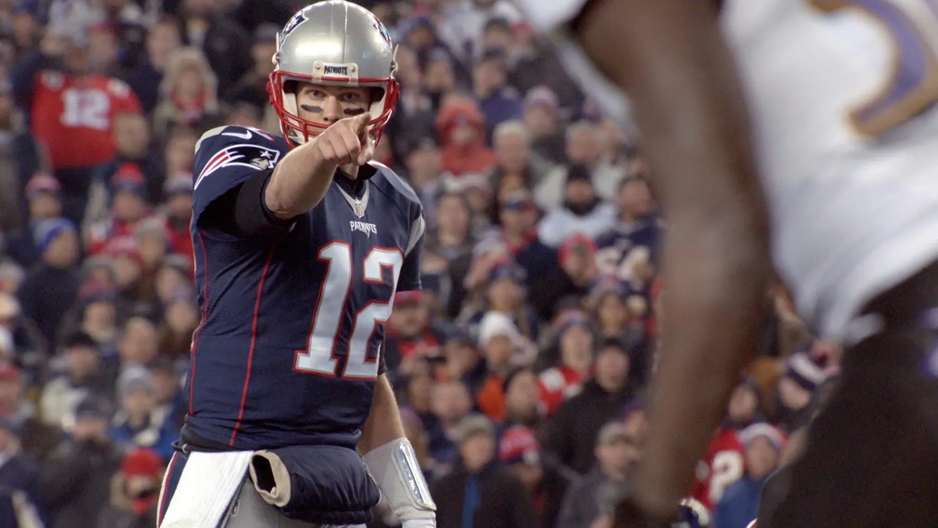 Super Bowl Champions - 2016 New England Patriots