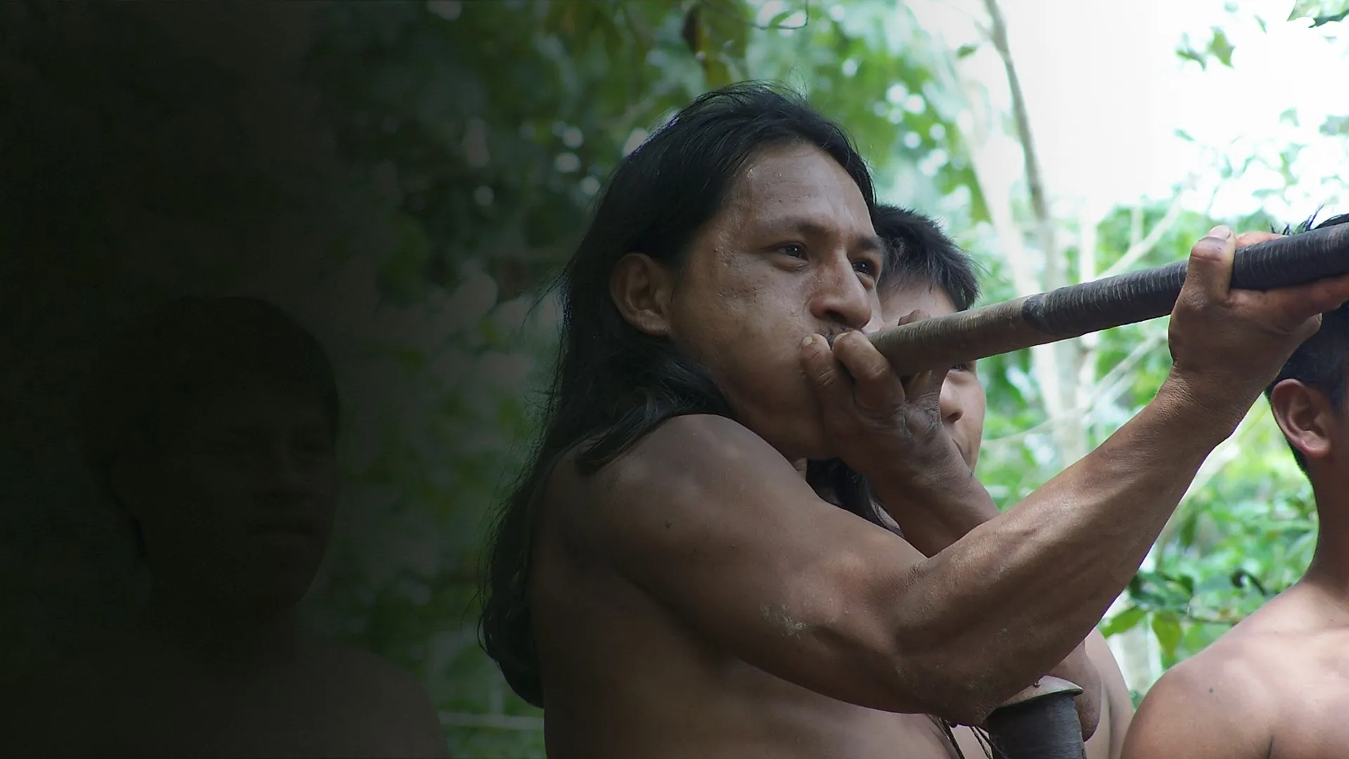 Guarani, O povo da Selva