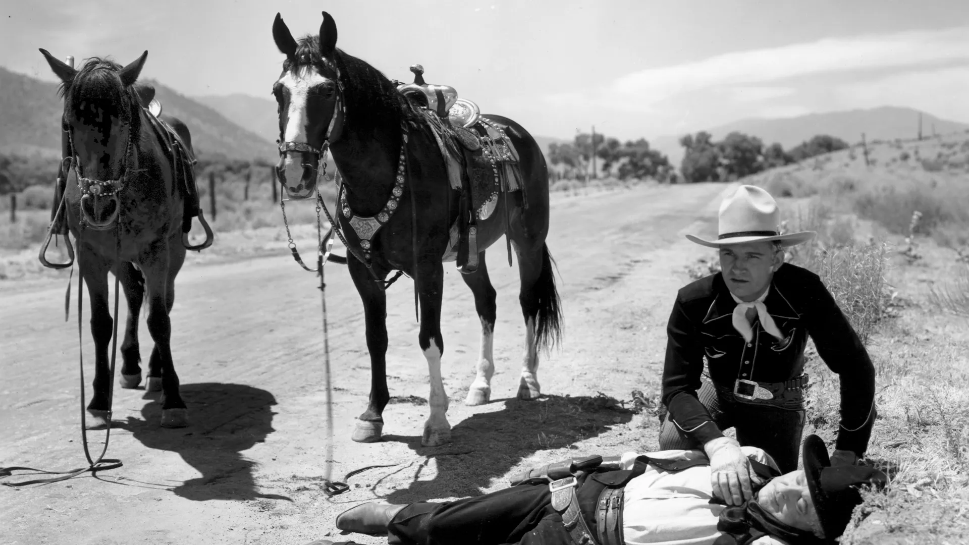 Public Cowboy No. 1