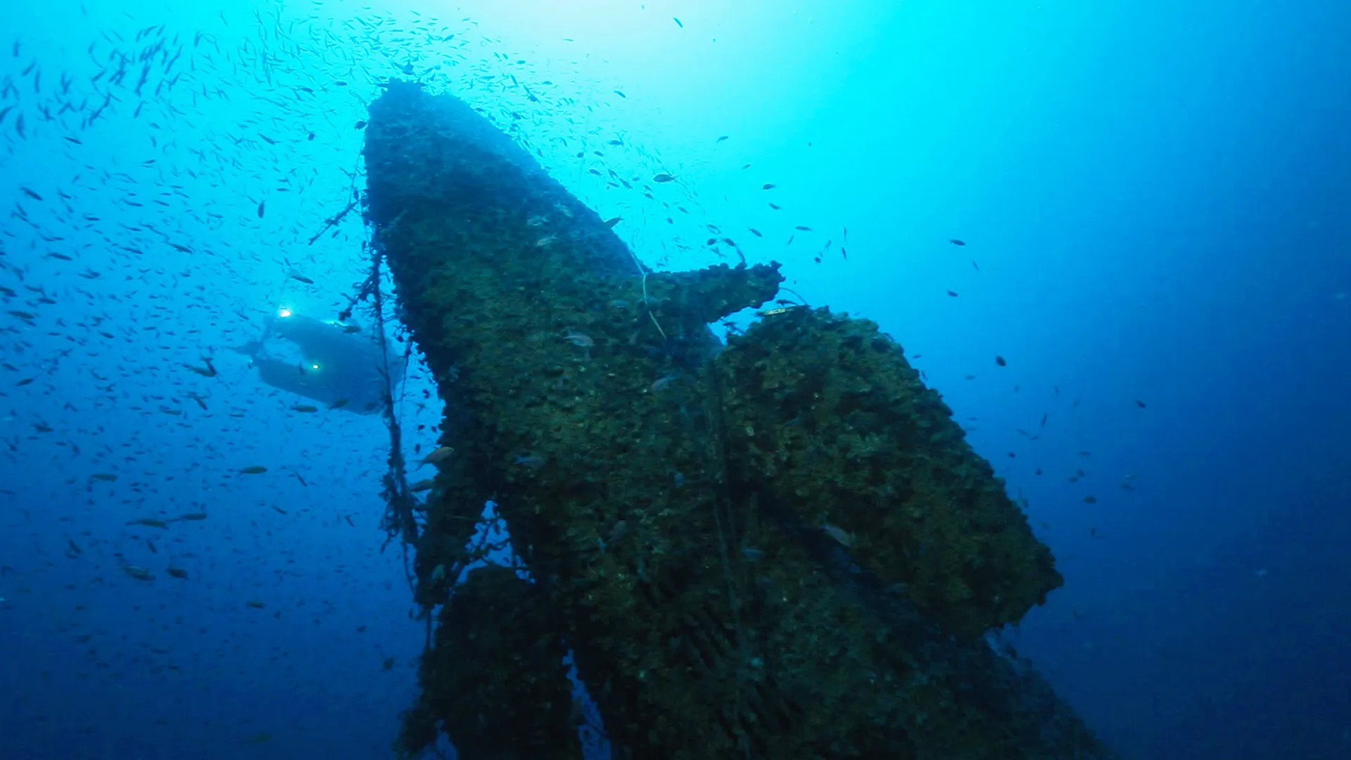 U-455, El misterio del submarino perdido