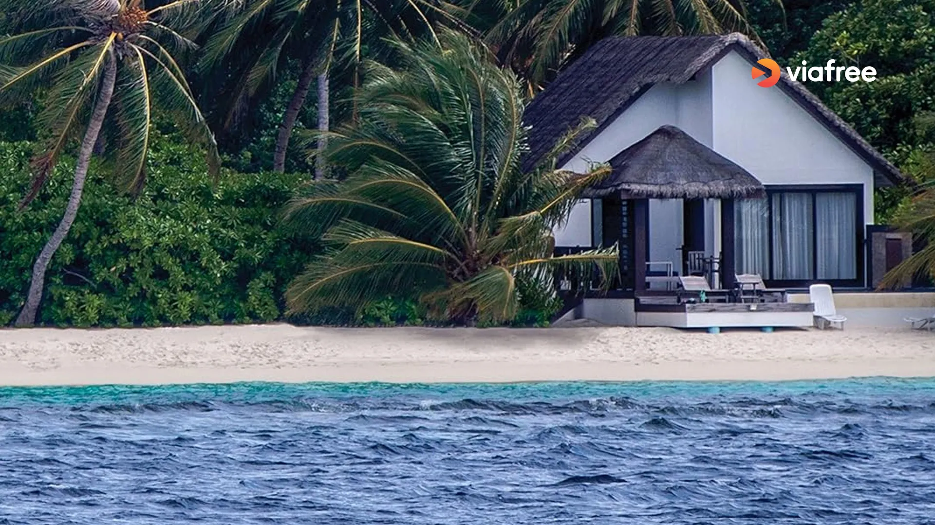 Waterfront House Hunting