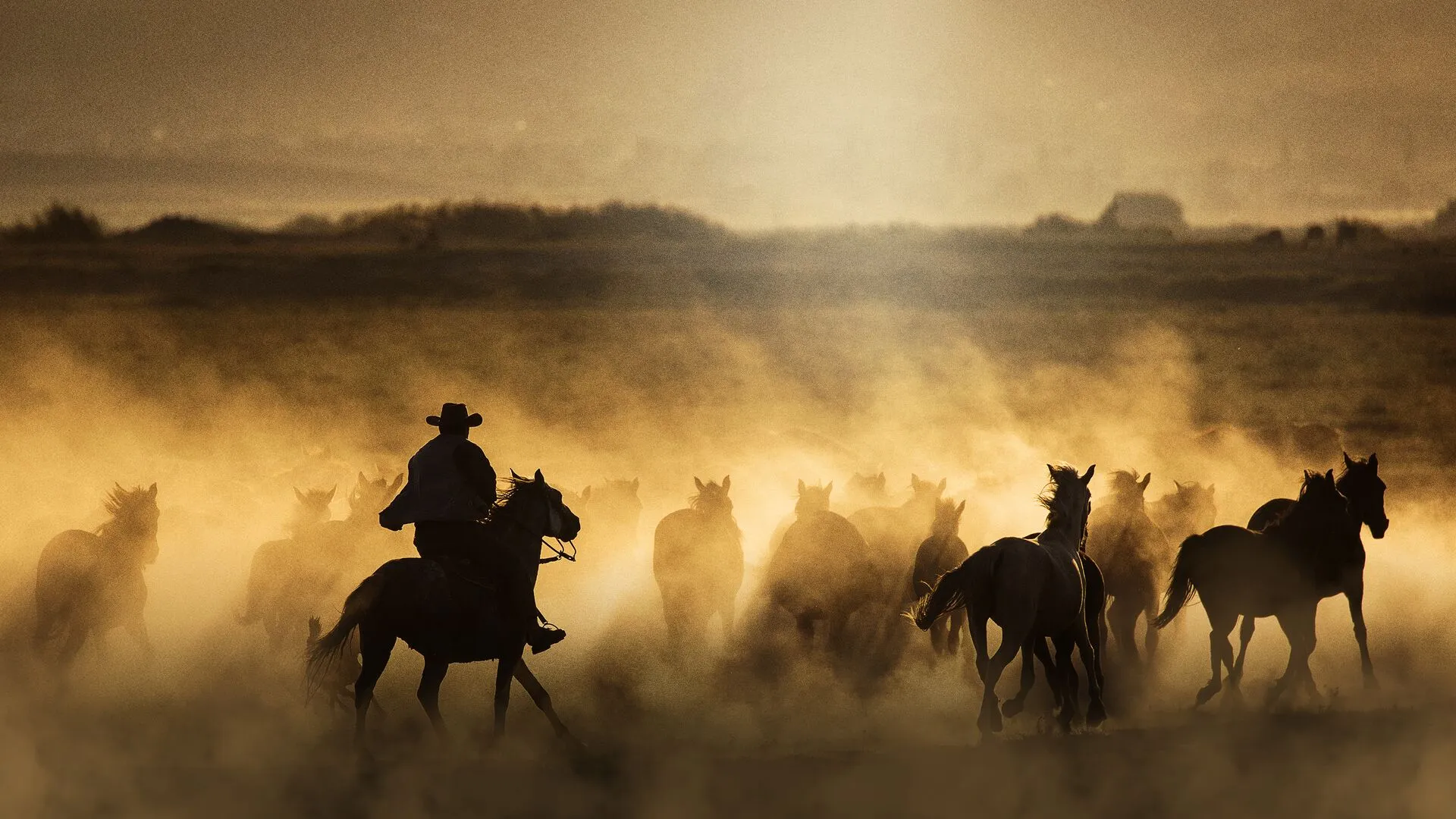 Libertad en Los Campos