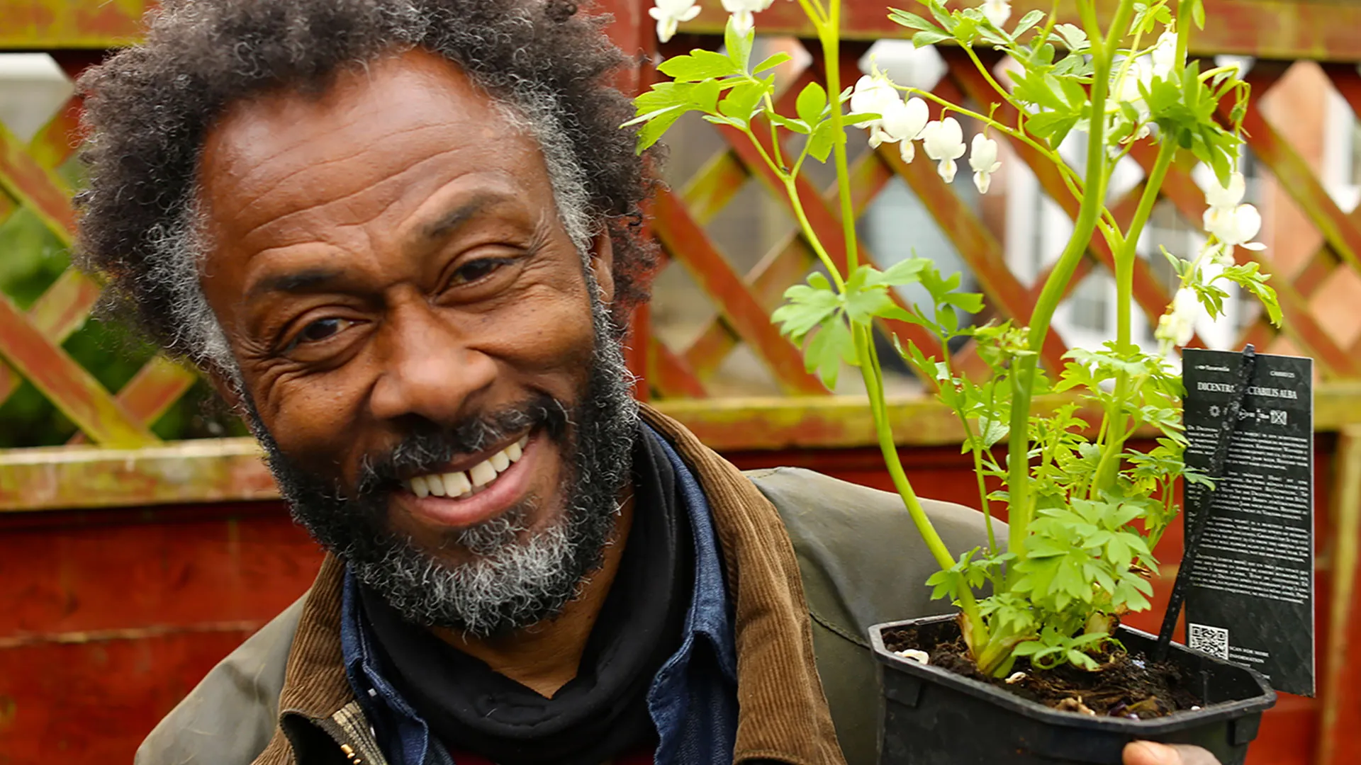The Instant Gardener