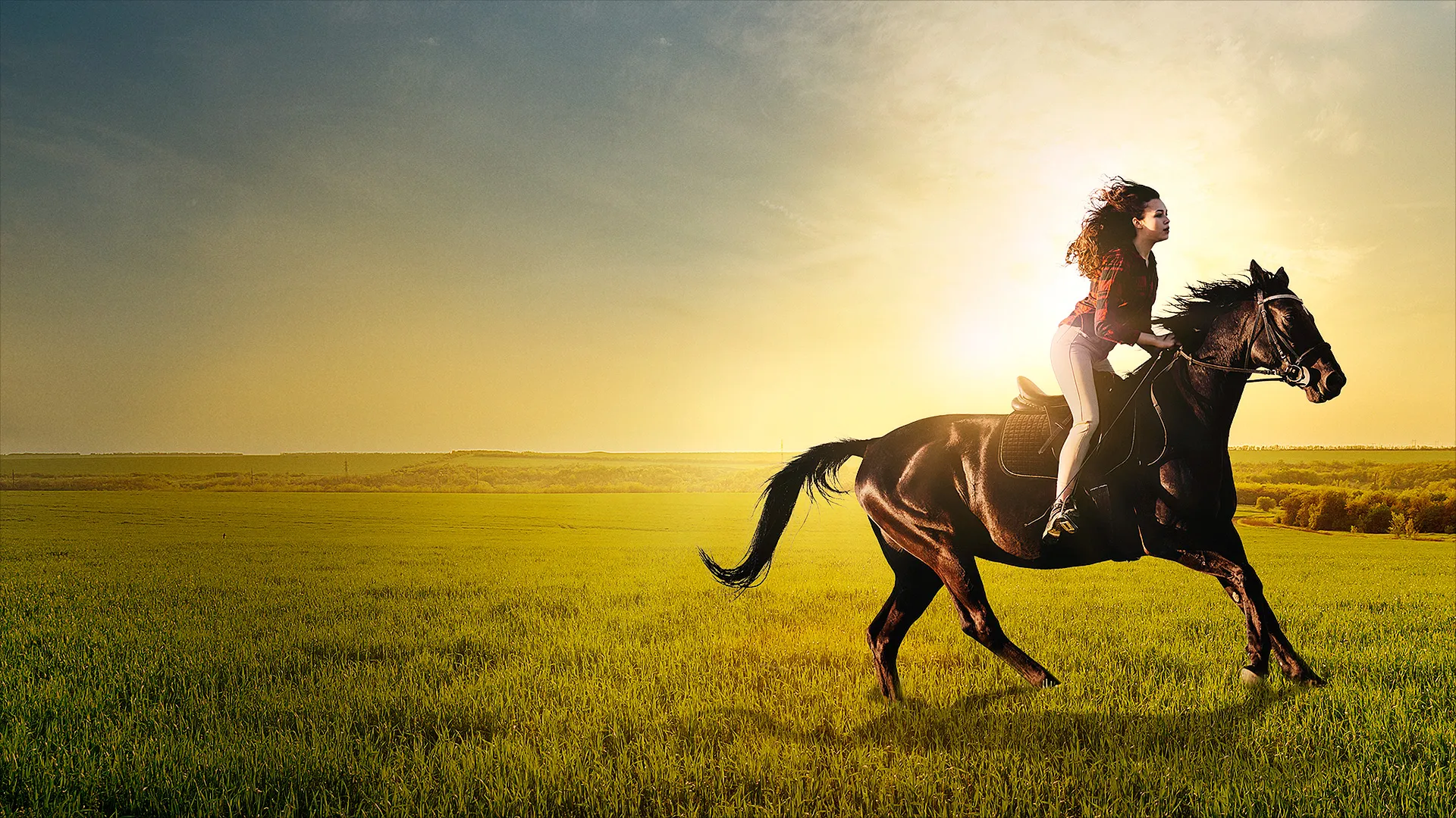 If I Could Ride