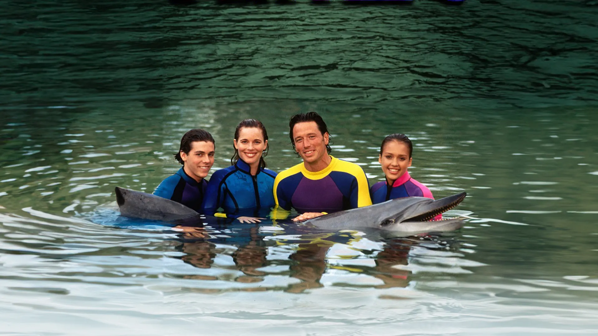 Flipper: The New Adventures