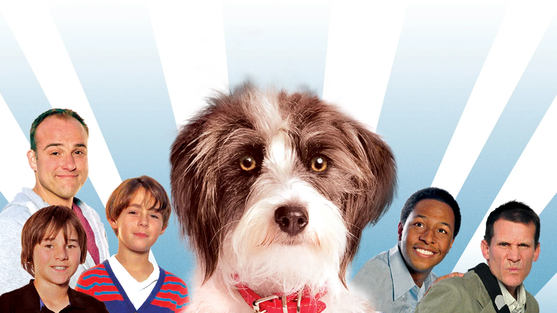 Sox: A Family's Best Friend
