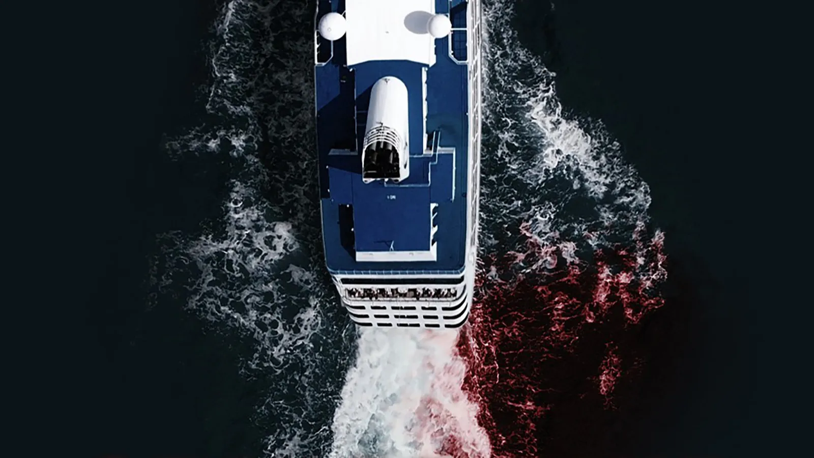 Cruise Ship Killers