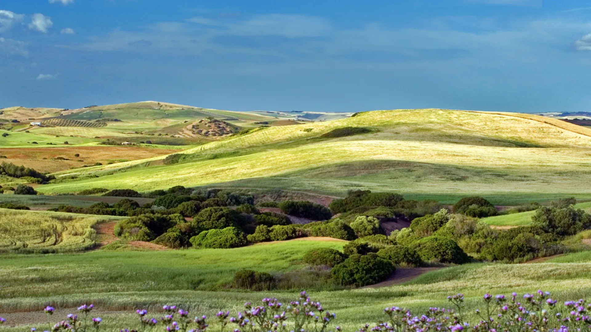 Milagros de la naturaleza