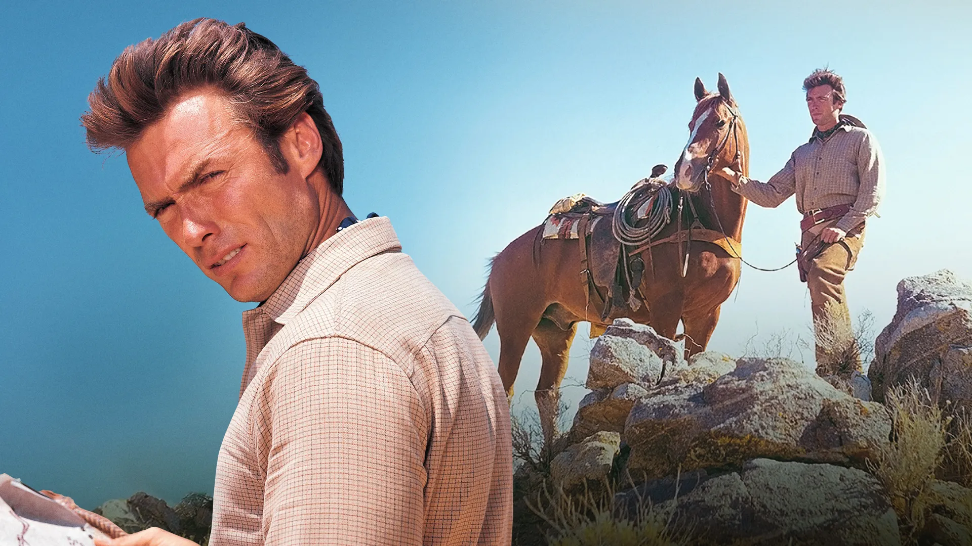 Rawhide