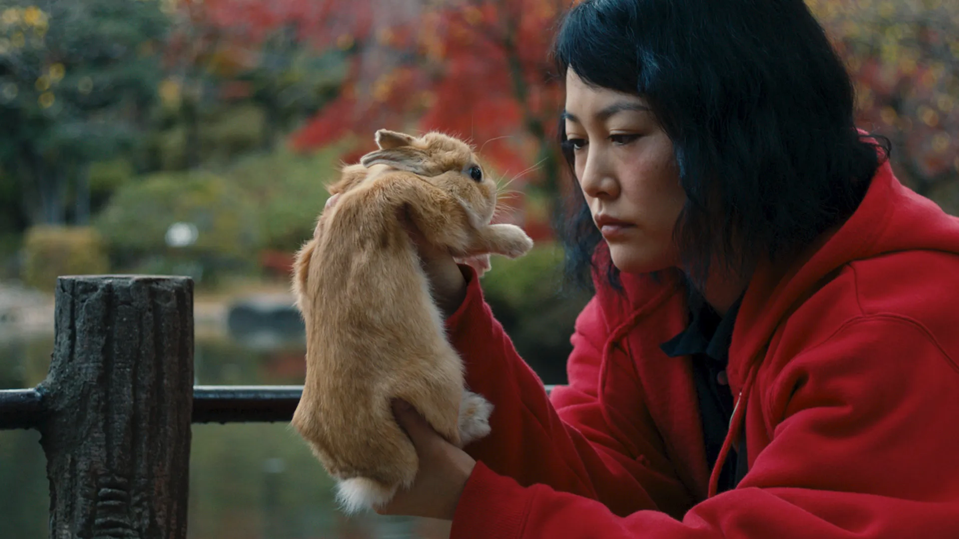 Kumiko, The Treasure Hunter