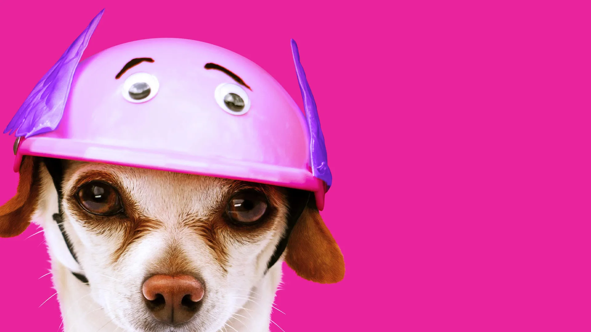 Días de perros