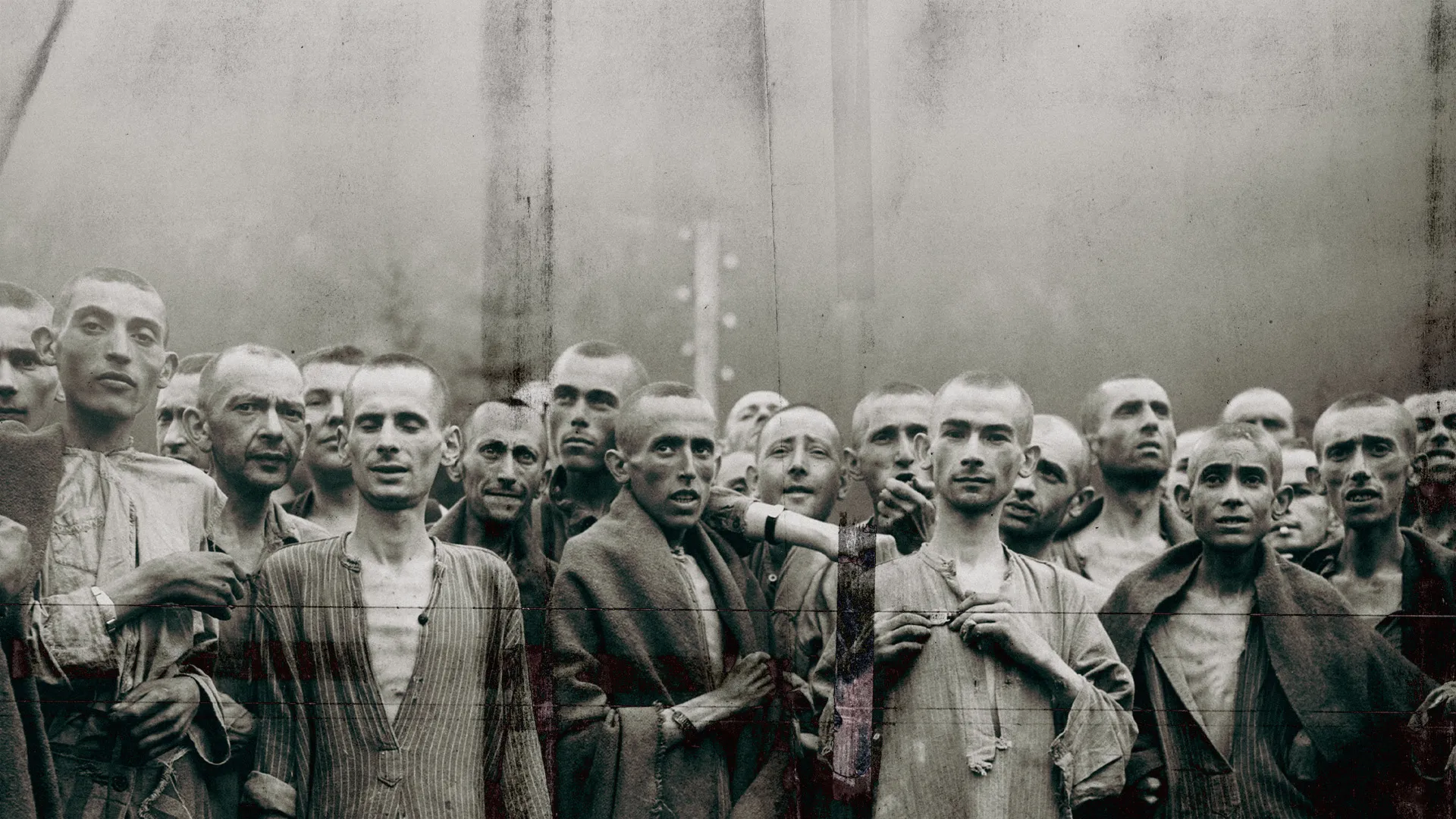 Surviving Hitler's Mad Doctors