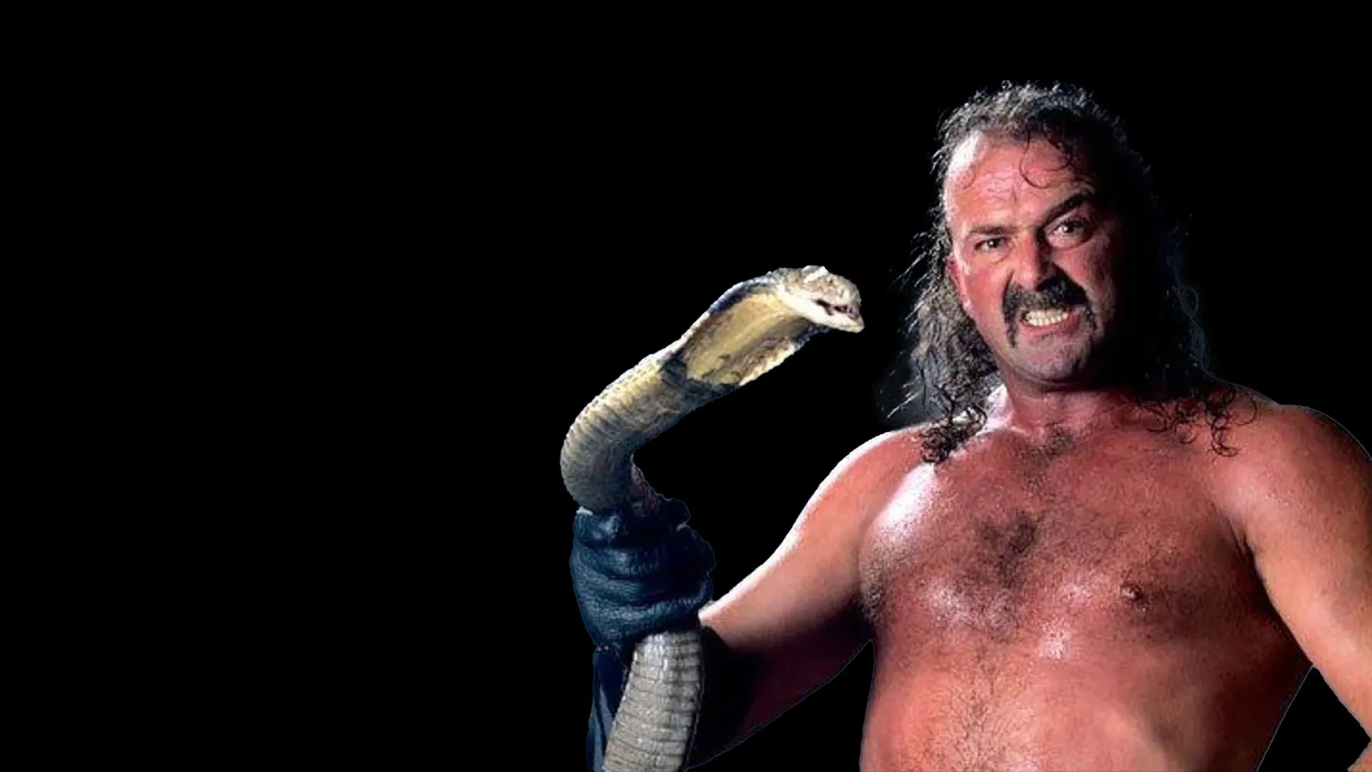 The Resurrection Of Jake The Snake