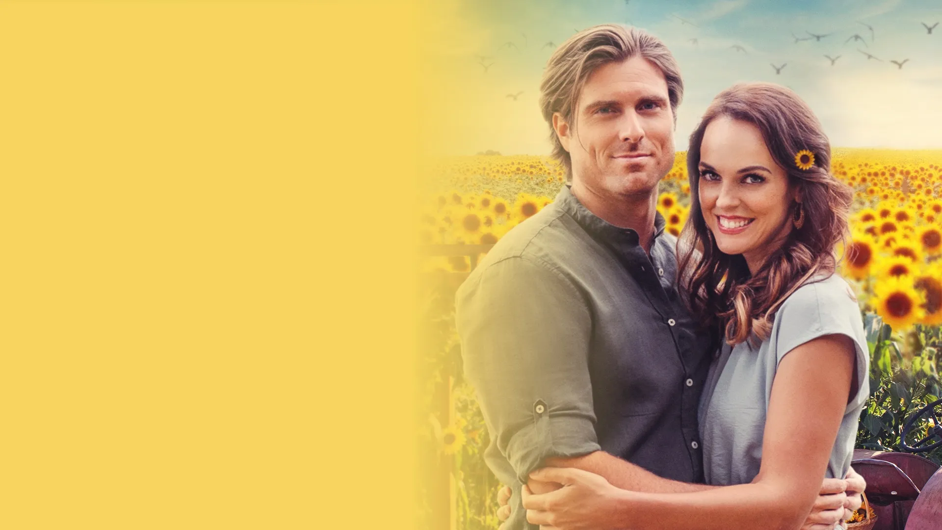 Historias de amor en Sunflower valley