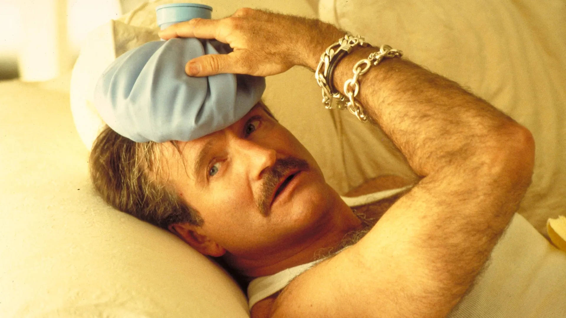 The Birdcage (1996)