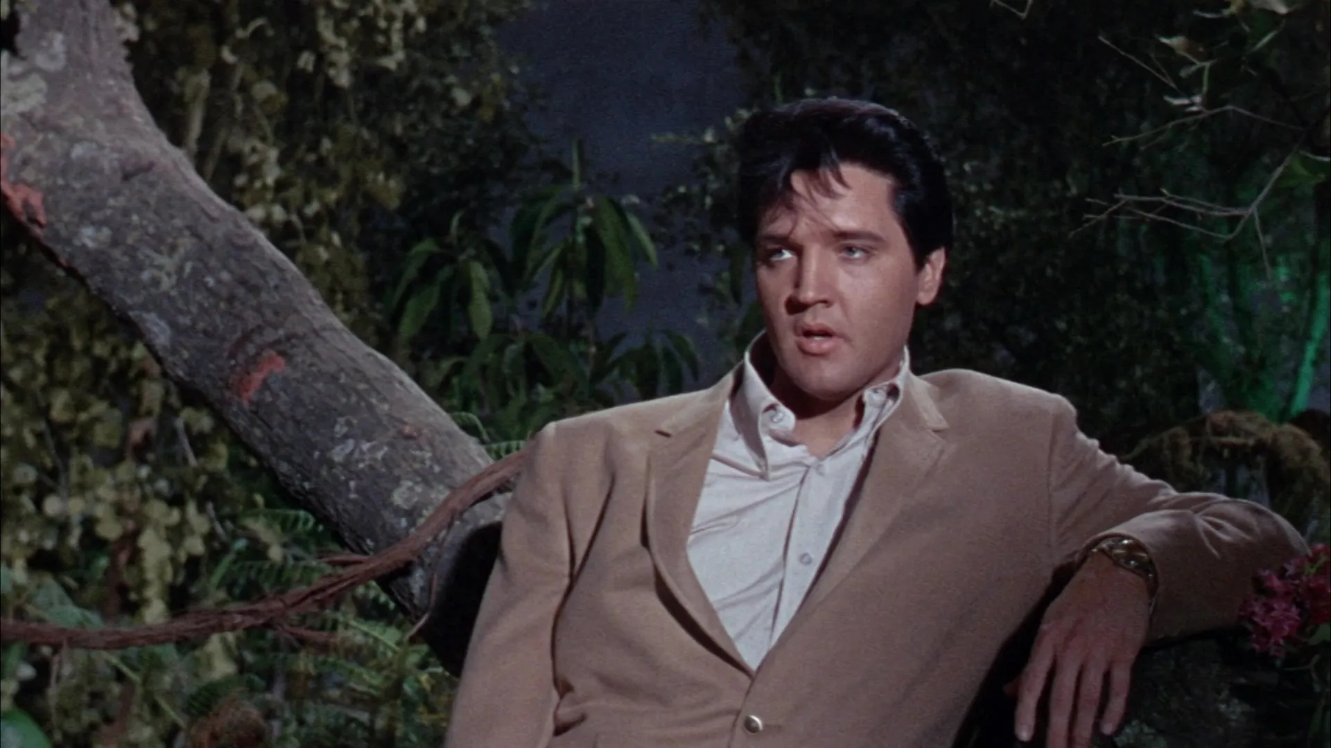 Clambake