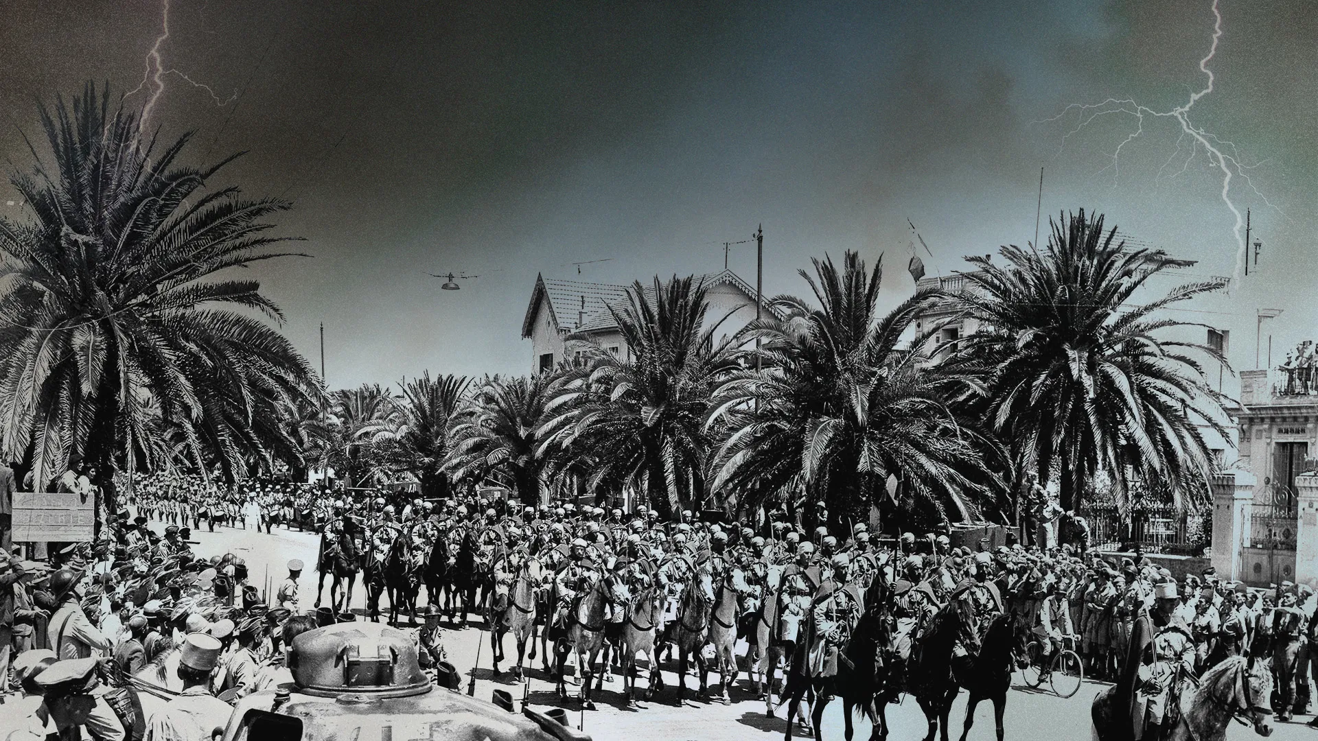 Field of Operations: The Tunisia Campaign