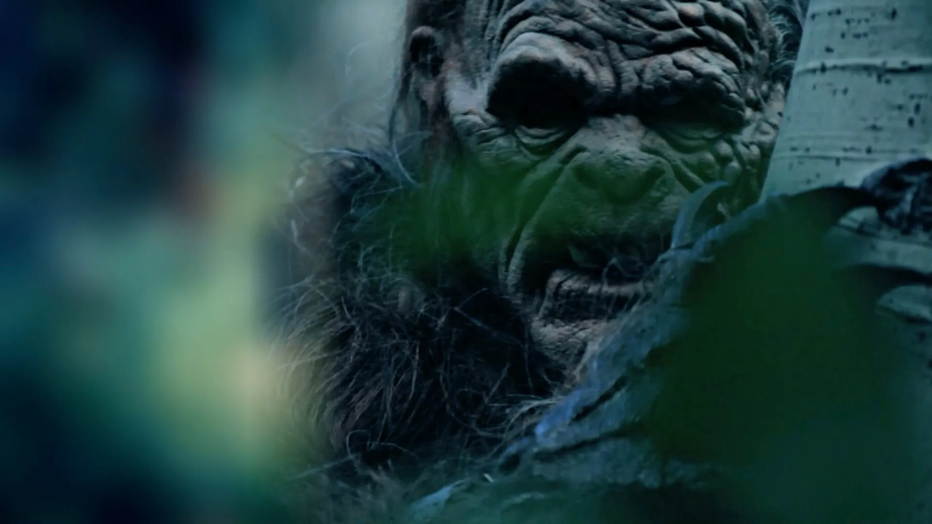 Bigfoot Investigations: Legend, Lore and Fact