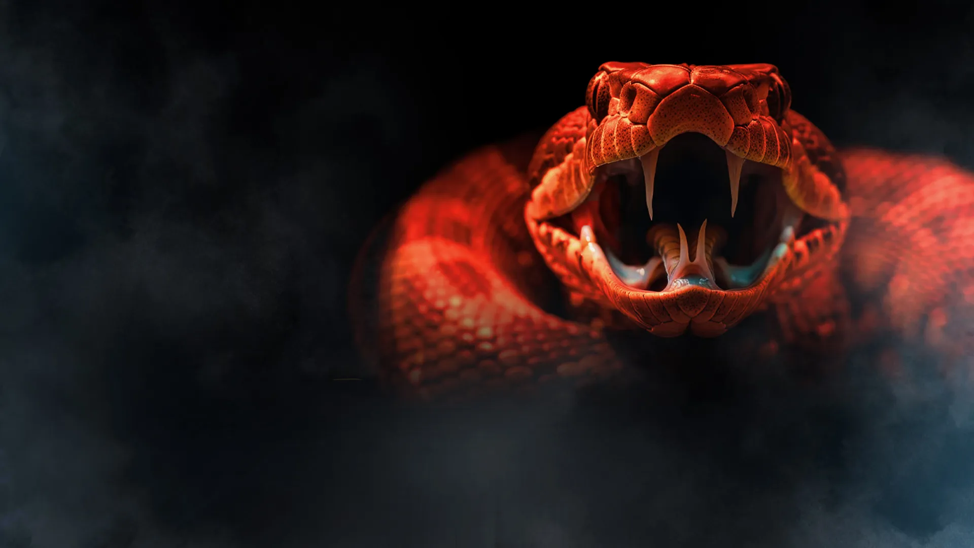 One Big Snake