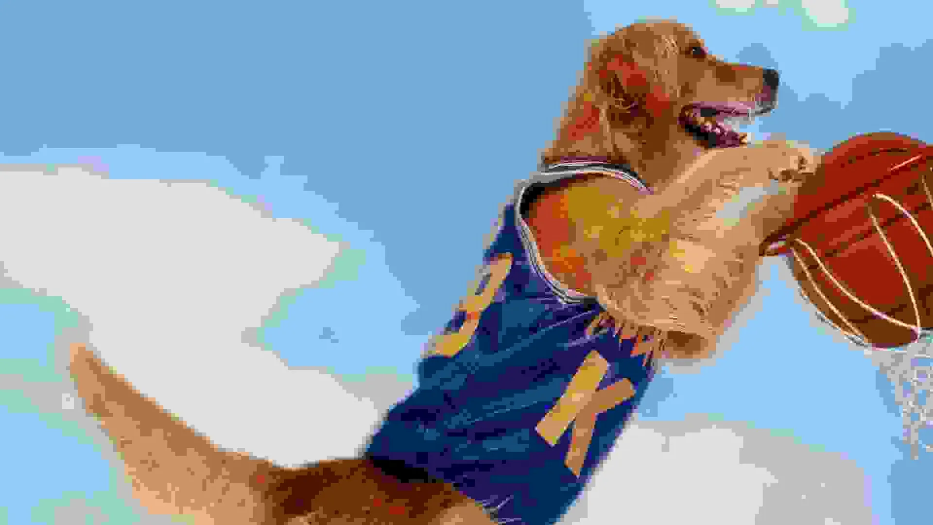 Air Bud