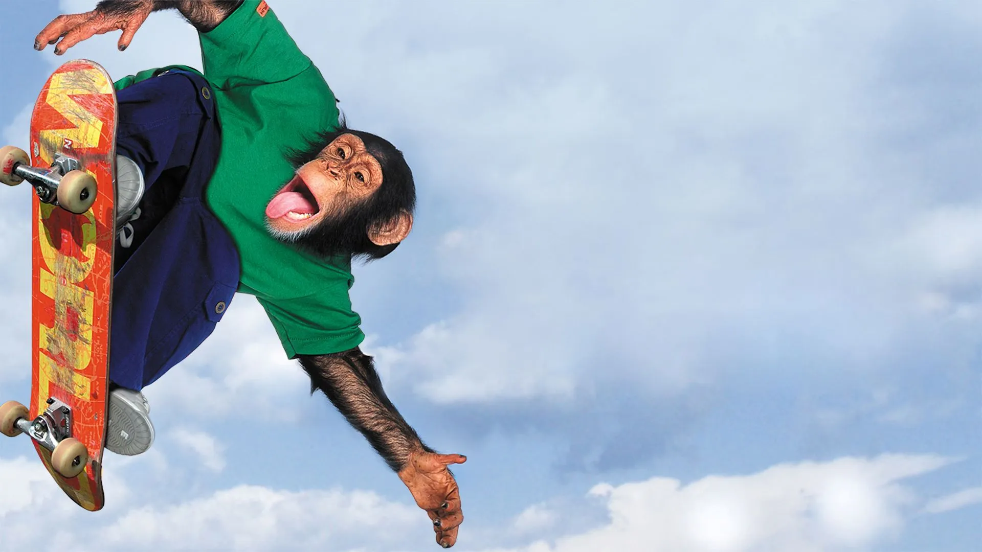 MVP II: Most Vertical Primate