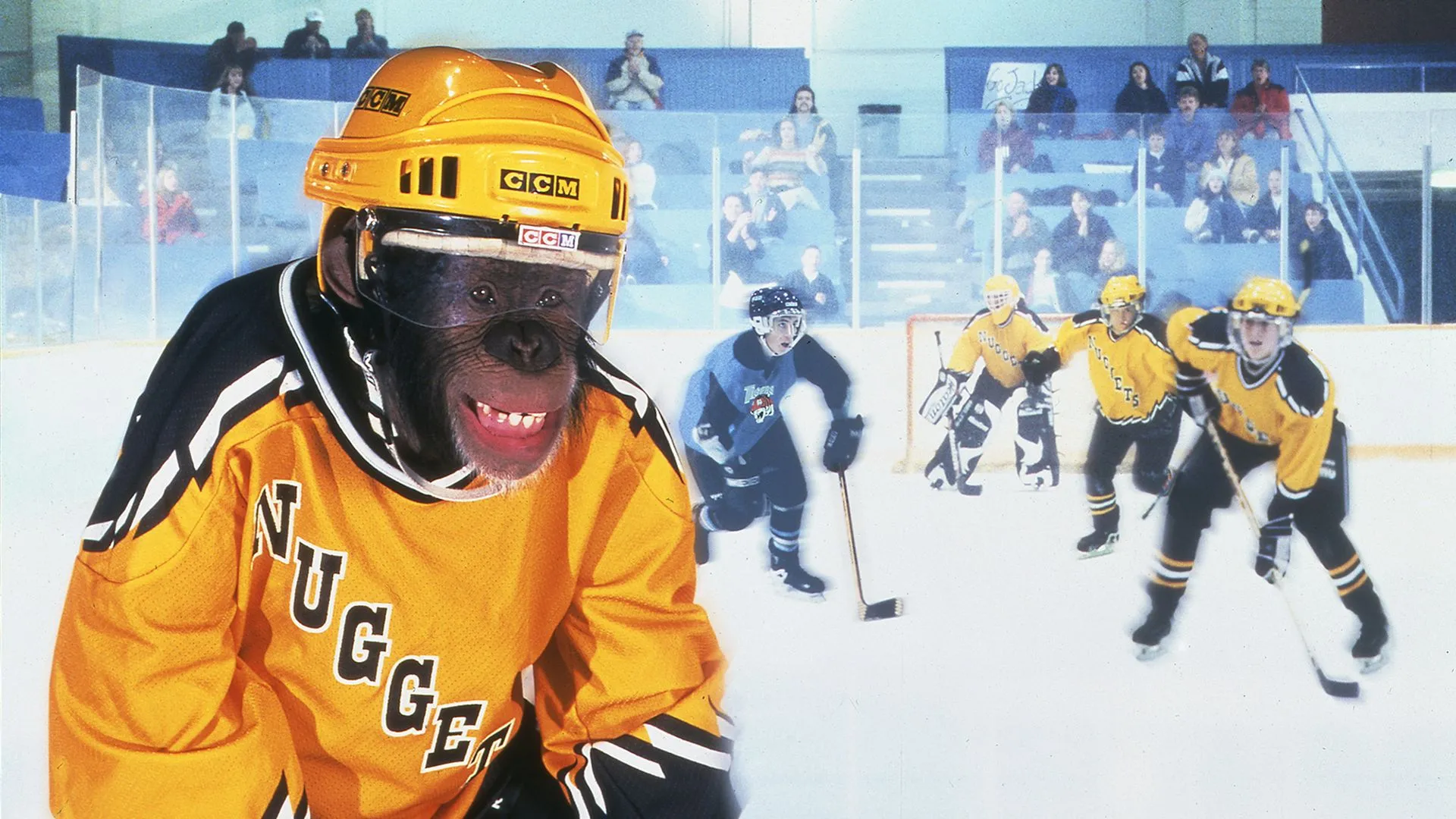 MVP: Most Valuable Primate